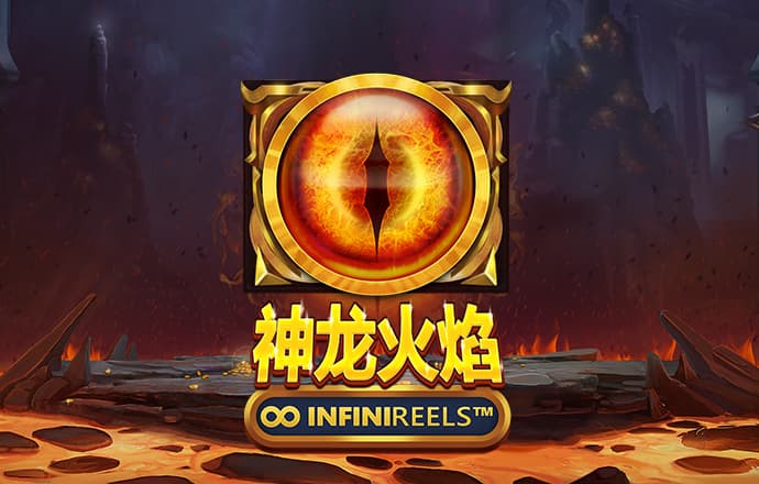 6t体育